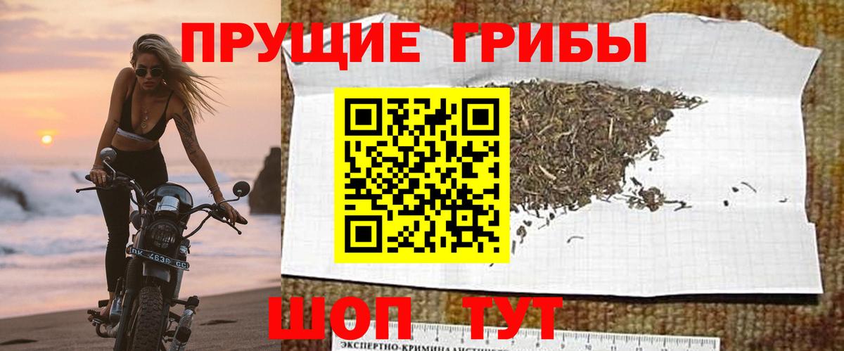 Донецк  Галлюциногенные грибы ЛСД  Вход с VPN  Галлюциногенные грибы Psilocybine cubensis 